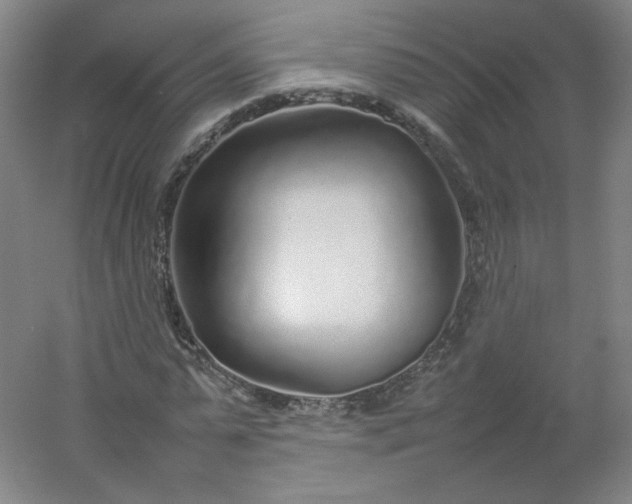 X0000054390775200508121632