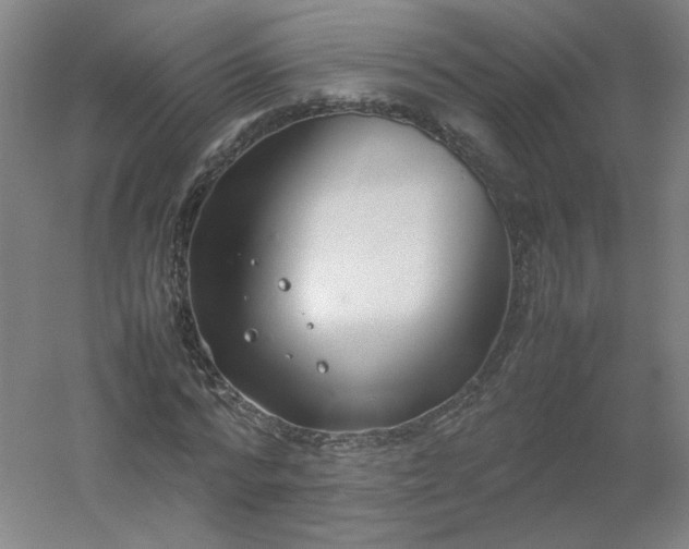 X0000054390776200508121632