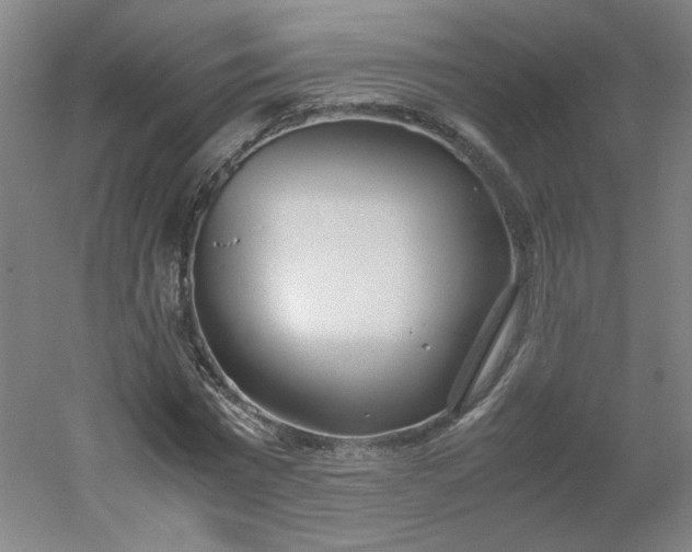 X0000054390777200508121632