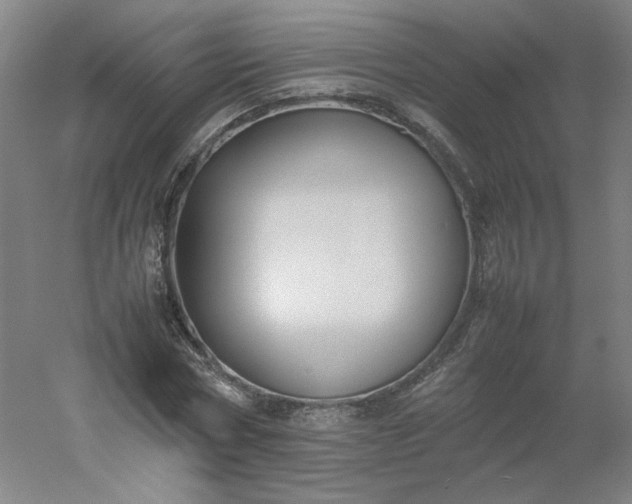 X0000054390778200508121632