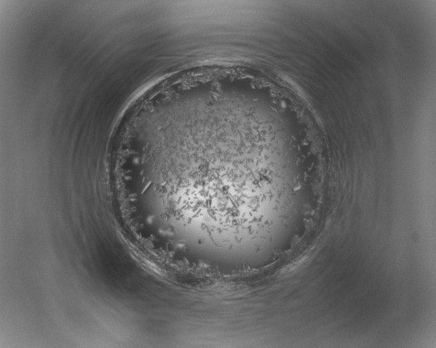 X0000054390779200508121631