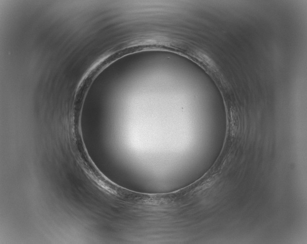 X0000054390780200508121631