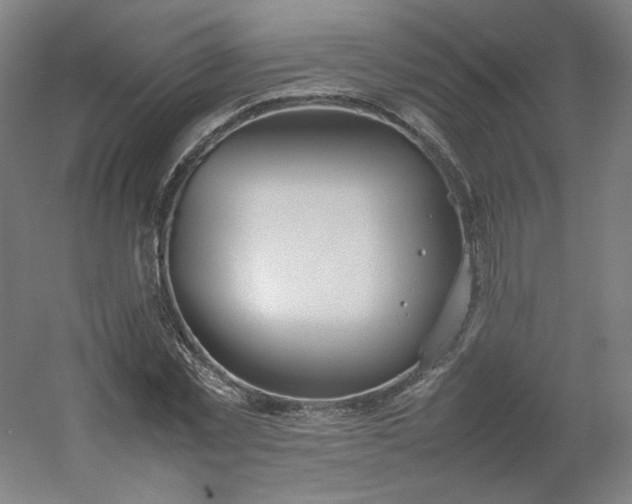 X0000054390781200508121631