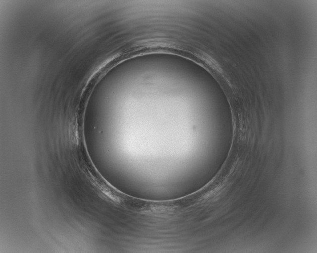 X0000054390782200508121631