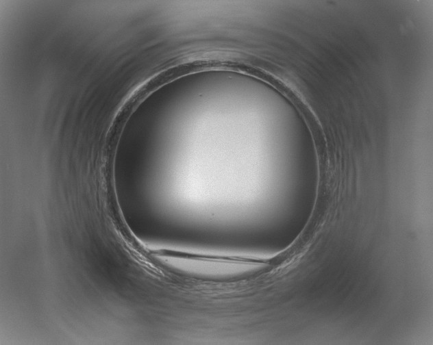 X0000054390783200508121631