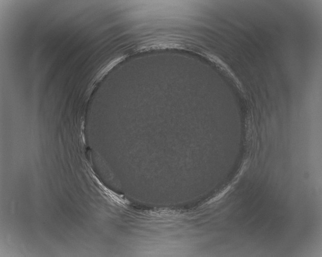 X0000054390785200508121631