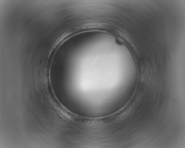 X0000054390786200508121631