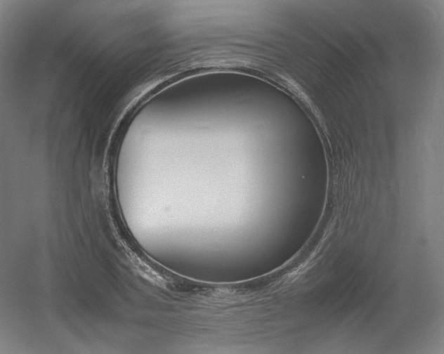 X0000054390787200508121631