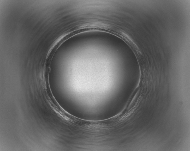 X0000054390788200508121631