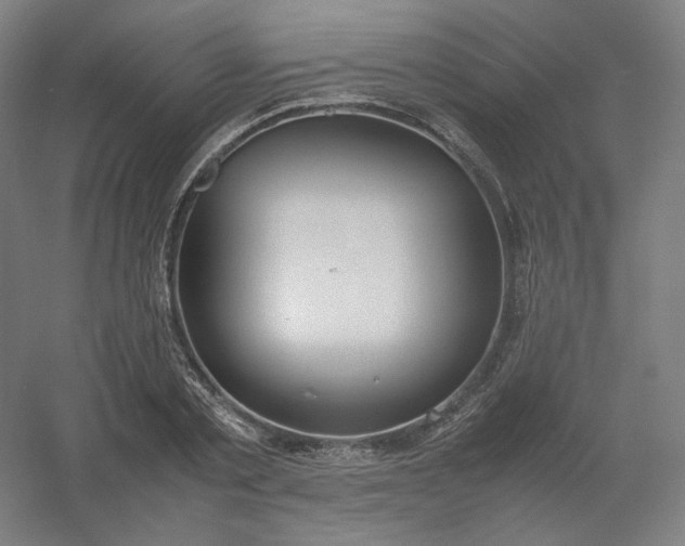 X0000054390789200508121631