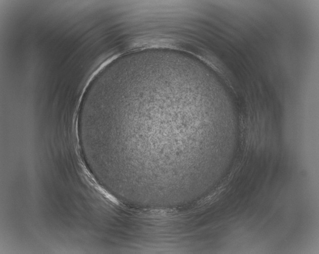 X0000054390790200508121631