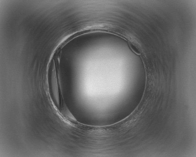 X0000054390792200508121631