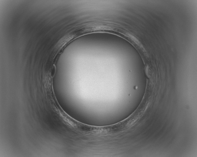 X0000054390793200508121631