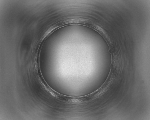 X0000054390794200508121631