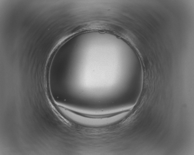 X0000054390795200508121631