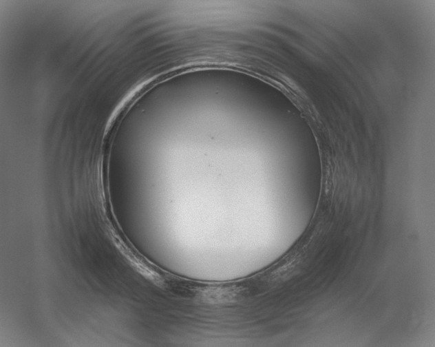 X0000054390796200508121631