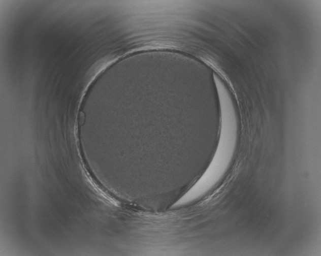 X0000054390797200508121631