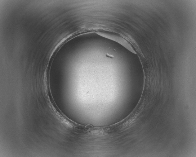 X0000054390798200508121631