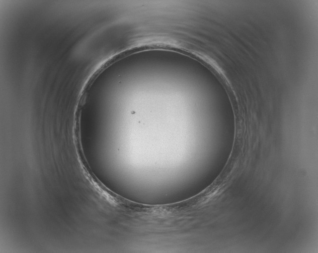 X0000054390799200508121631