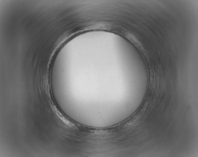 X0000054390800200508121631