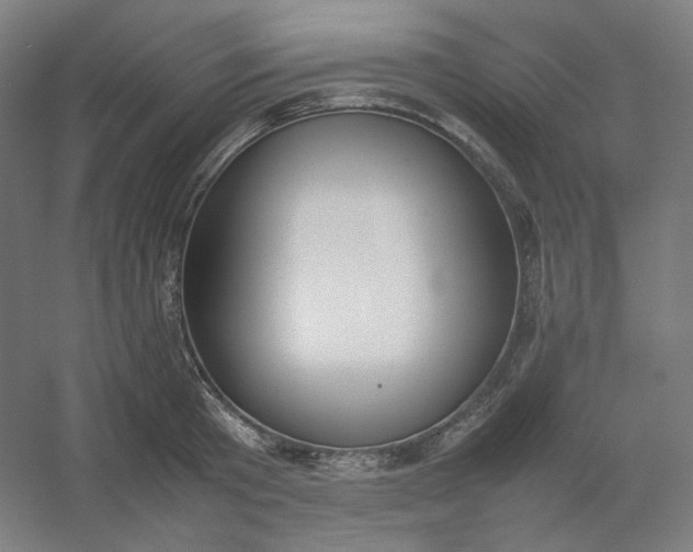 X0000054390801200508121631