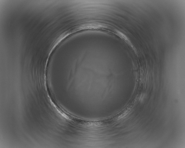 X0000054390802200508121631