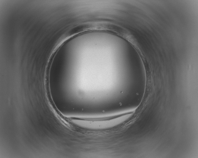 X0000054390803200508121631