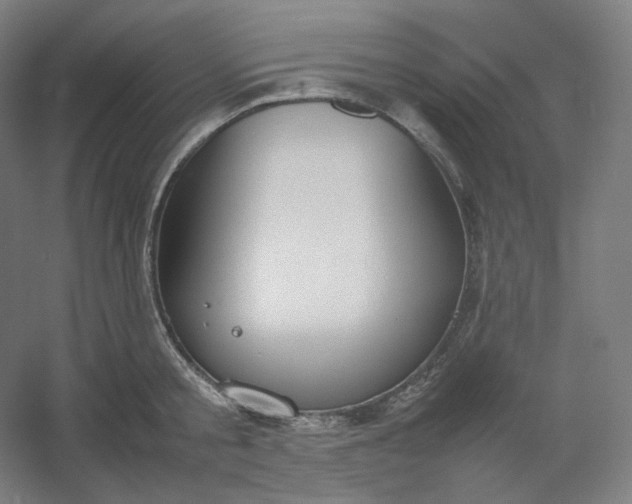 X0000054390805200508121631