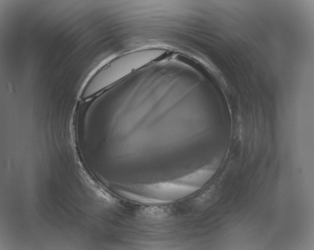 X0000054390806200508121631