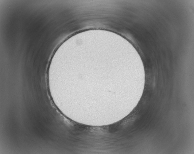 X0000054390807200508121631