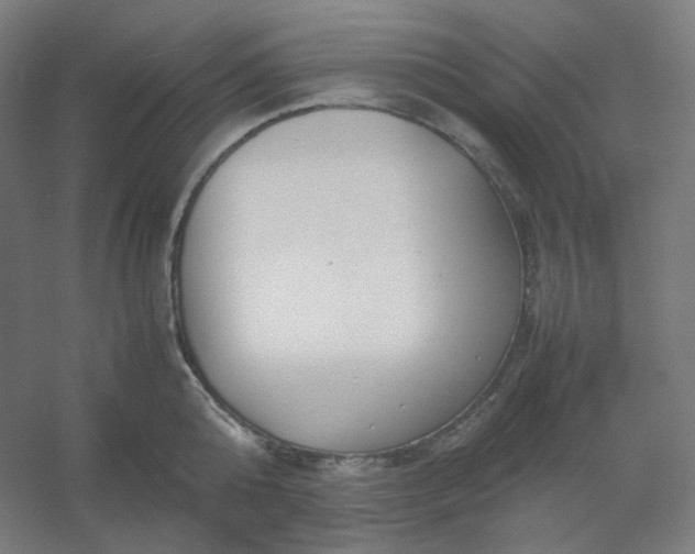 X0000054390808200508121631