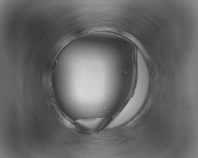 X0000054390809200508121631