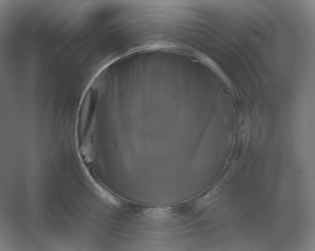 X0000054390810200508121631