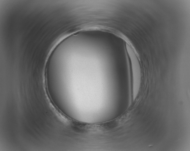 X0000054390811200508121631