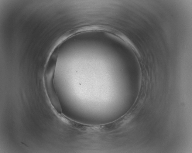 X0000054390813200508121631