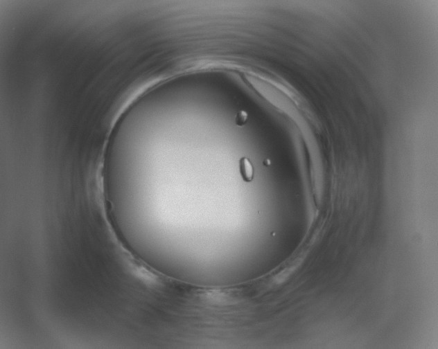 X0000054390814200508121631