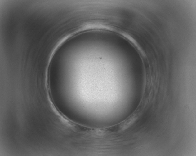 X0000054390815200508121631