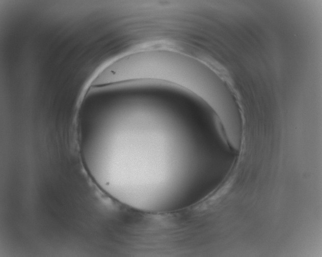 X0000054390816200508121631