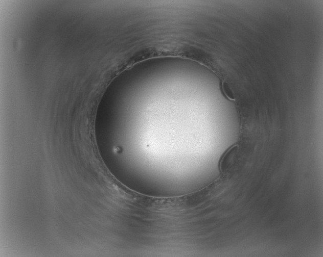 X0000054390817200508121630