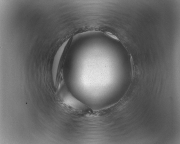 X0000054390818200508121630