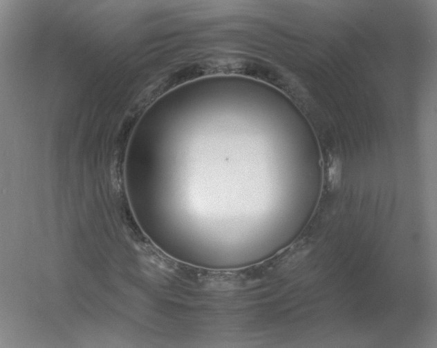 X0000054390819200508121630