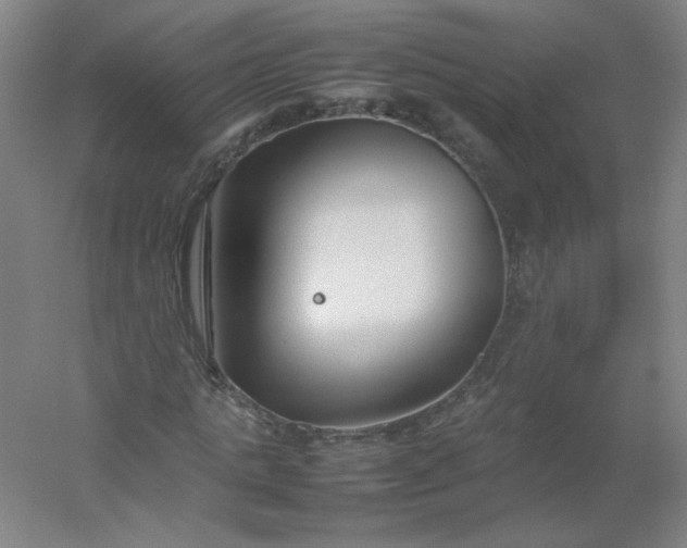 X0000054390821200508121630