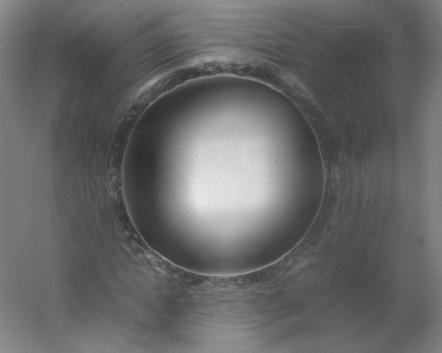 X0000054390822200508121630