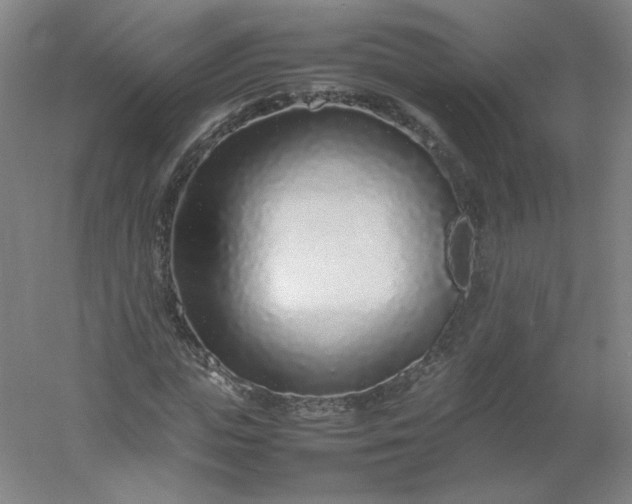 X0000054390823200508121630