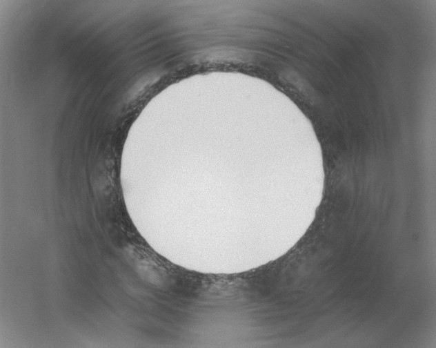 X0000054390824200508121630