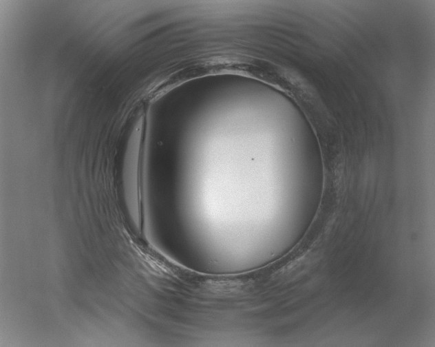 X0000054390825200508121630