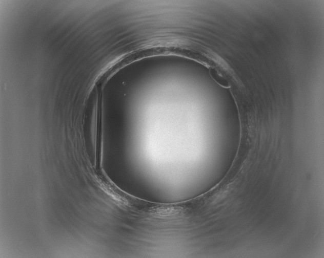 X0000054390826200508121630