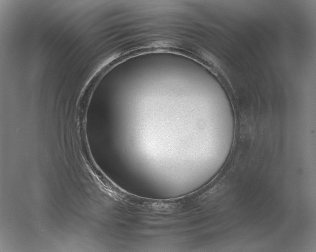 X0000054390827200508121630