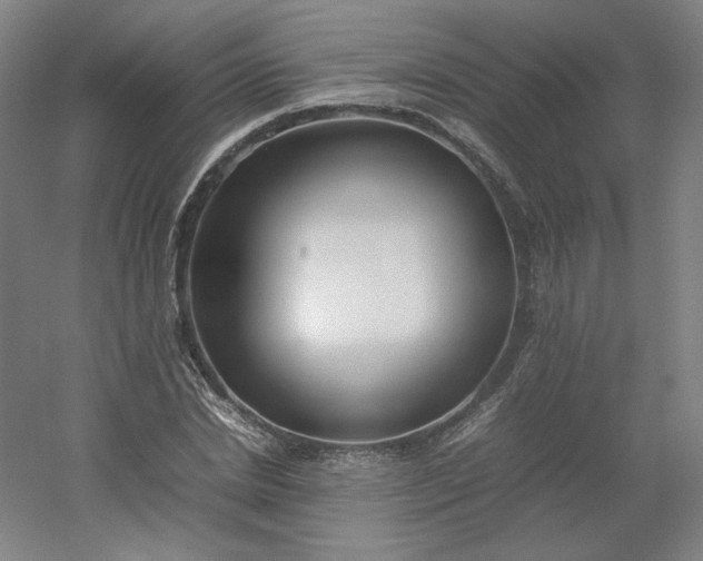 X0000054390830200508121630