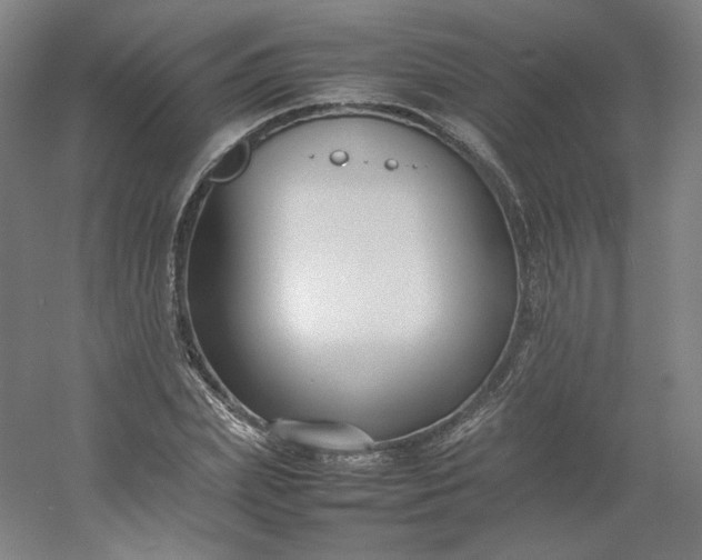 X0000054390831200508121630